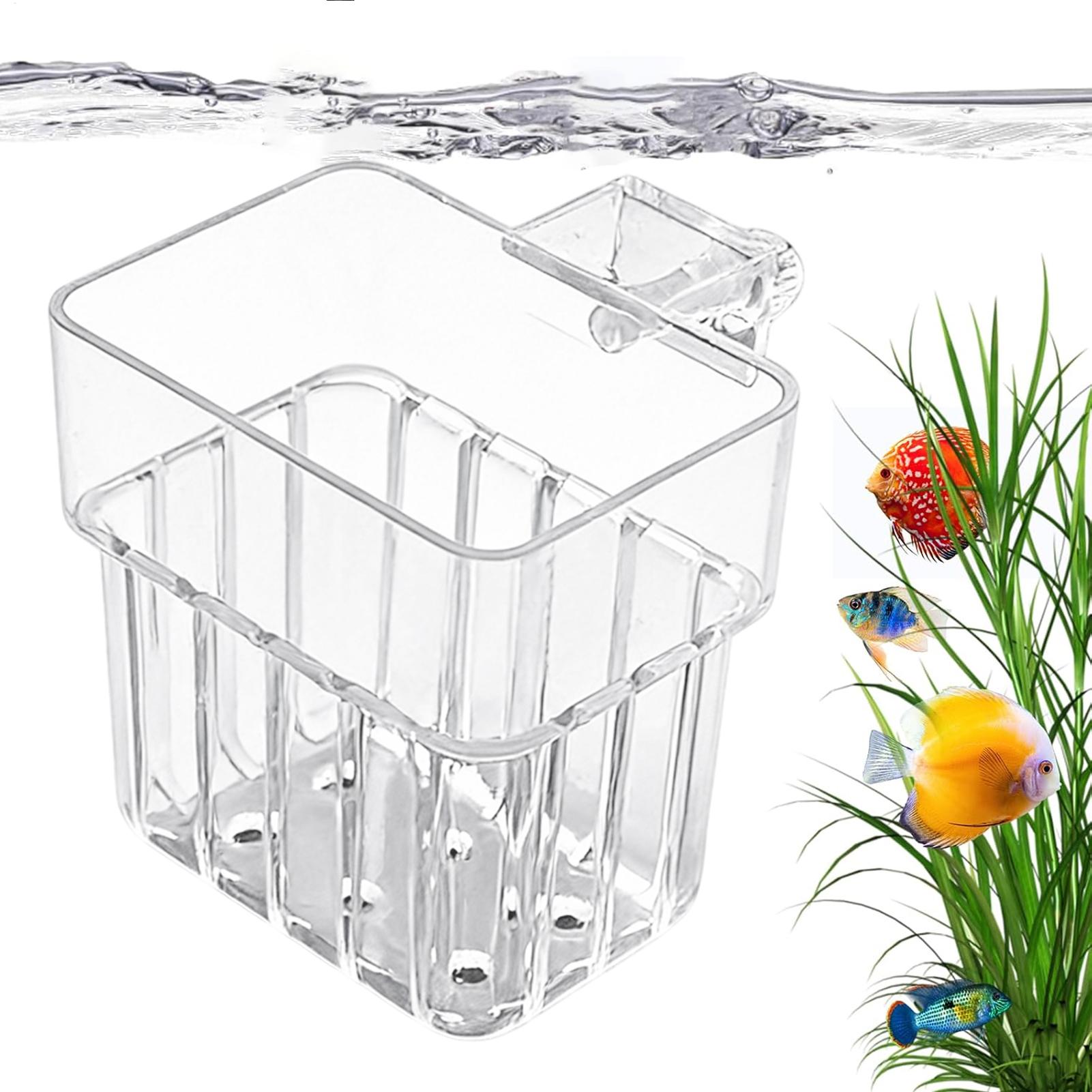 Aquarium Fish Names - Pot transparent suspendu pour plantes d'aquarium,