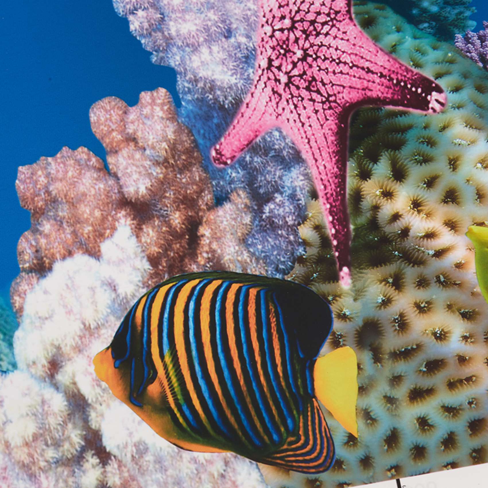 Fish In Aquarium Picture - Papier de fond pour aquarium ABWR
