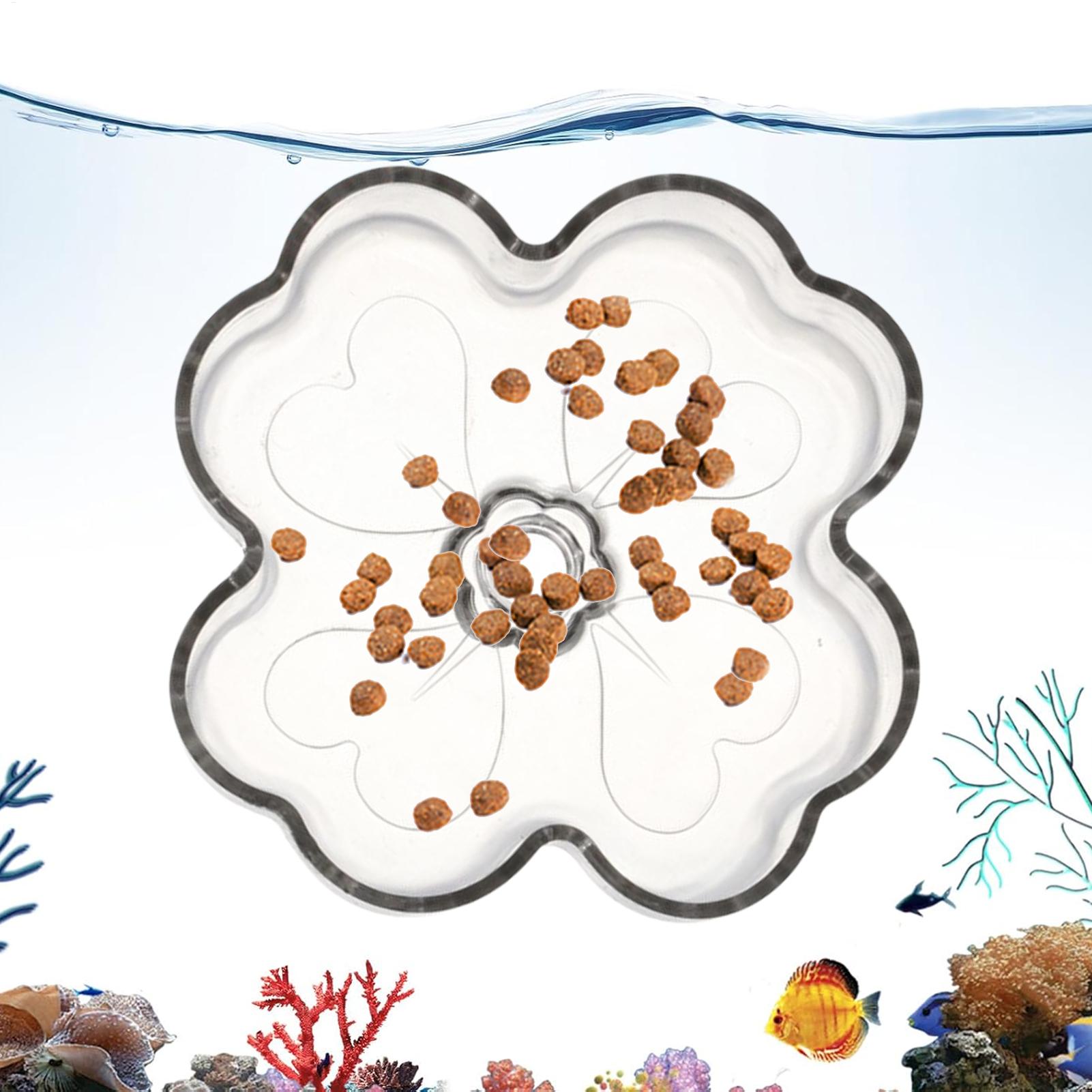 Tetra Fish In Aquarium - Plateau d'alimentation pour aquarium avec ventouse,