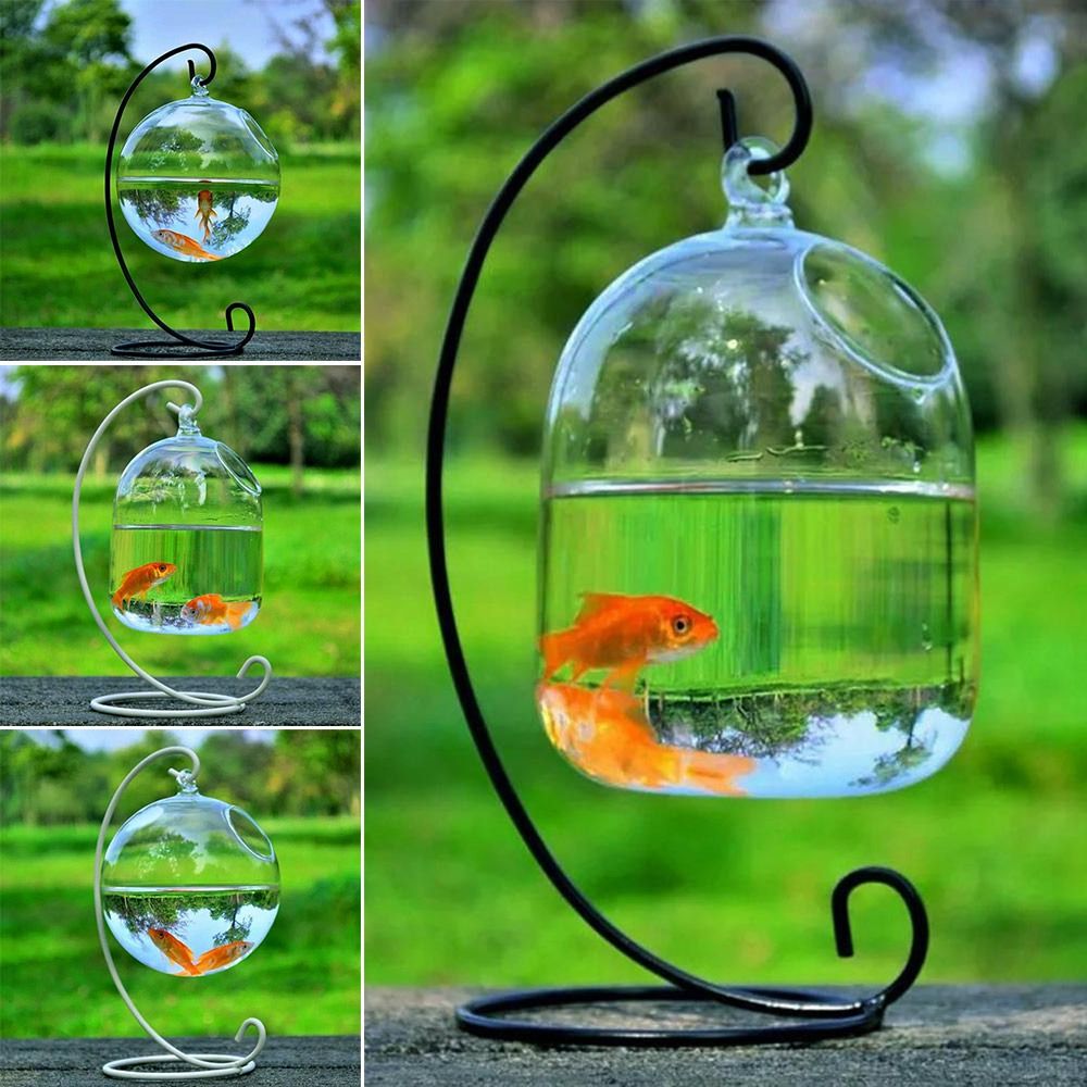 Aquarium Fish Names - Décoration murale pour aquarium avec support,