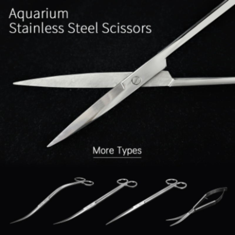 Aquarium Fish Quarantine - Ciseaux aquatiques en acier inoxydable Week