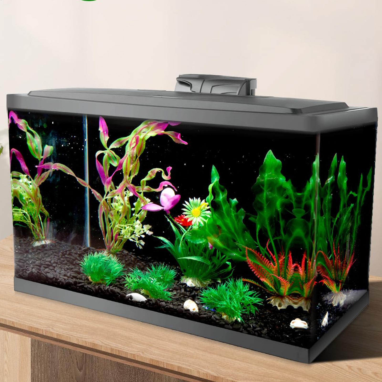 Fish In Aquarium Picture - Fond d'écran noir pour aquarium, papier