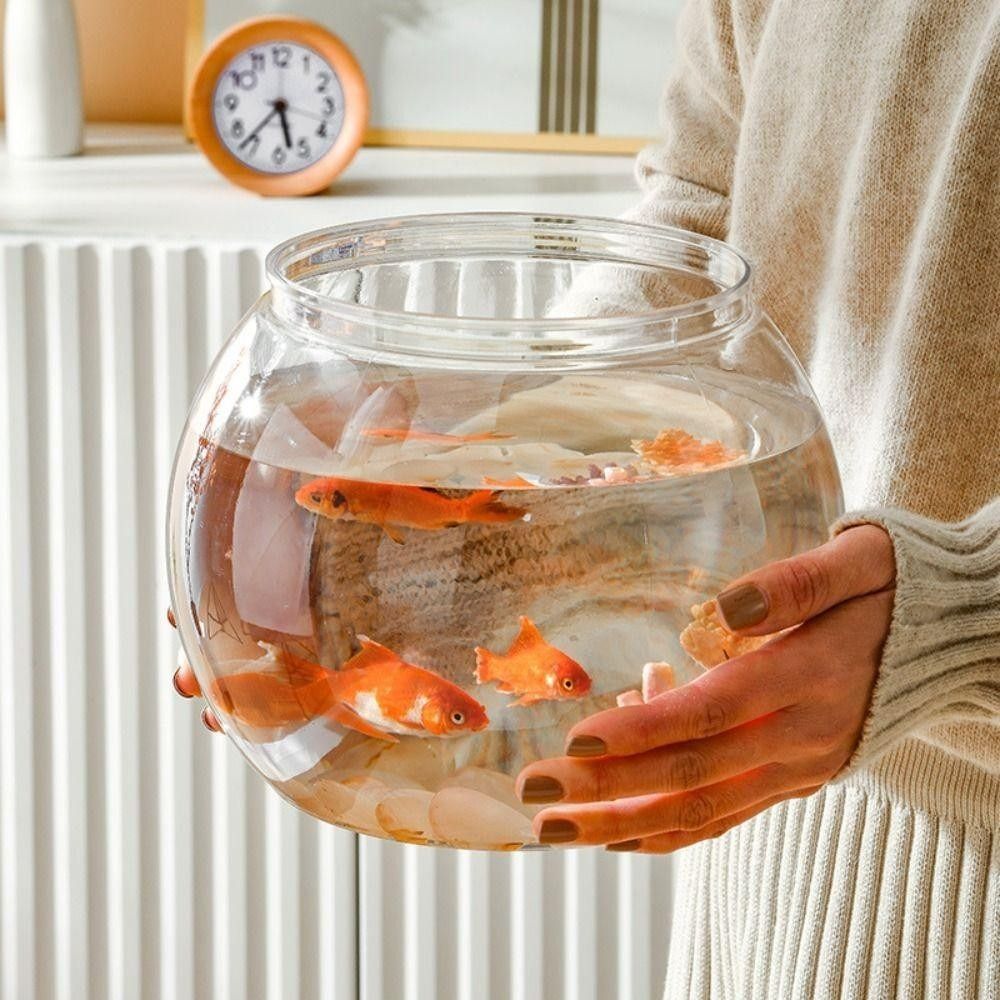 Aquarium Fish Names - Nouveau Aquarium Transparent rond incassable en