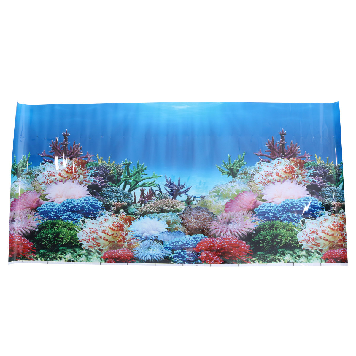 Papier peint 3D pour aquarium, - Fish In Aquarium Picture avis et prix