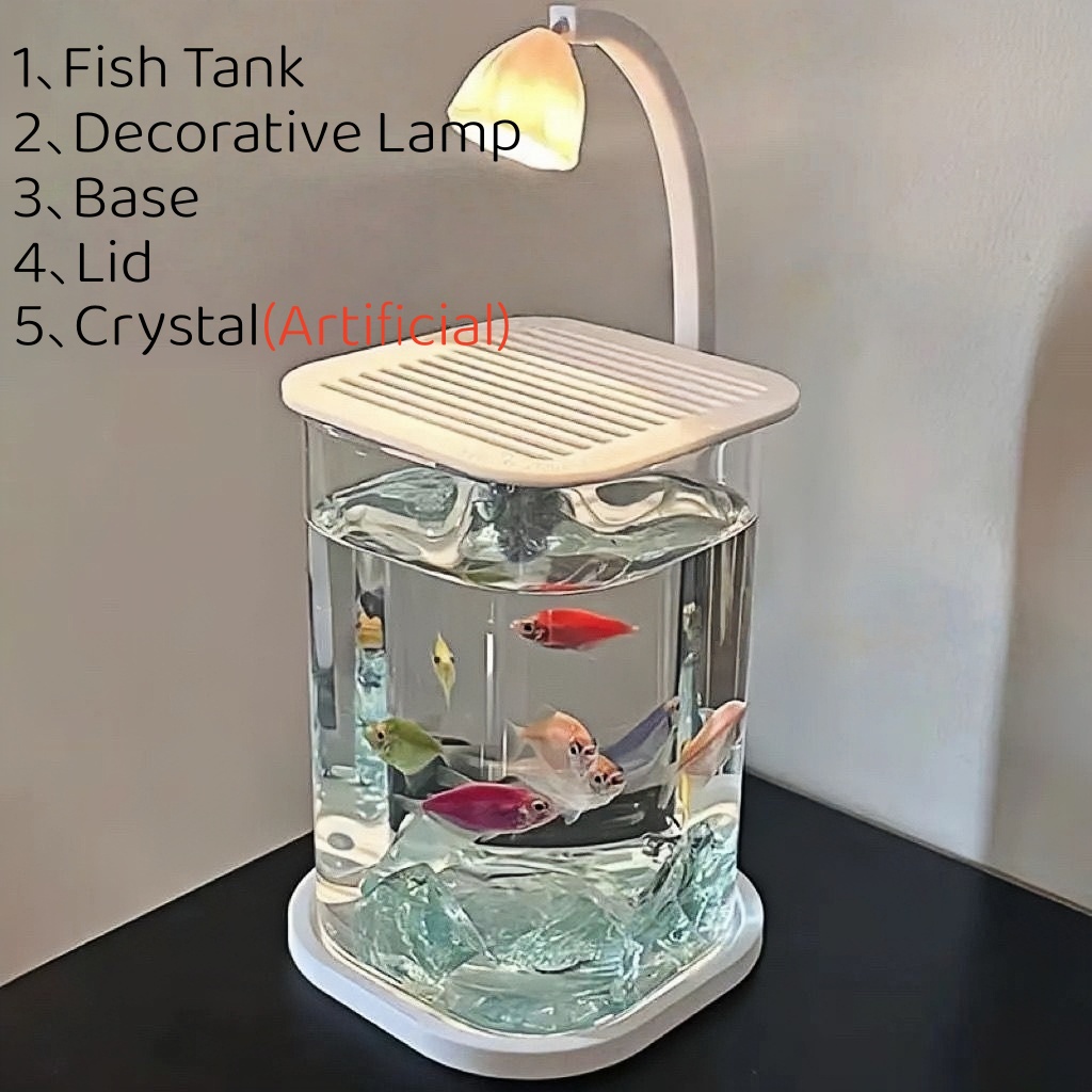Petit aquarium LED sans cadre  - Aquarium Fish Low Maintenance avis et prix