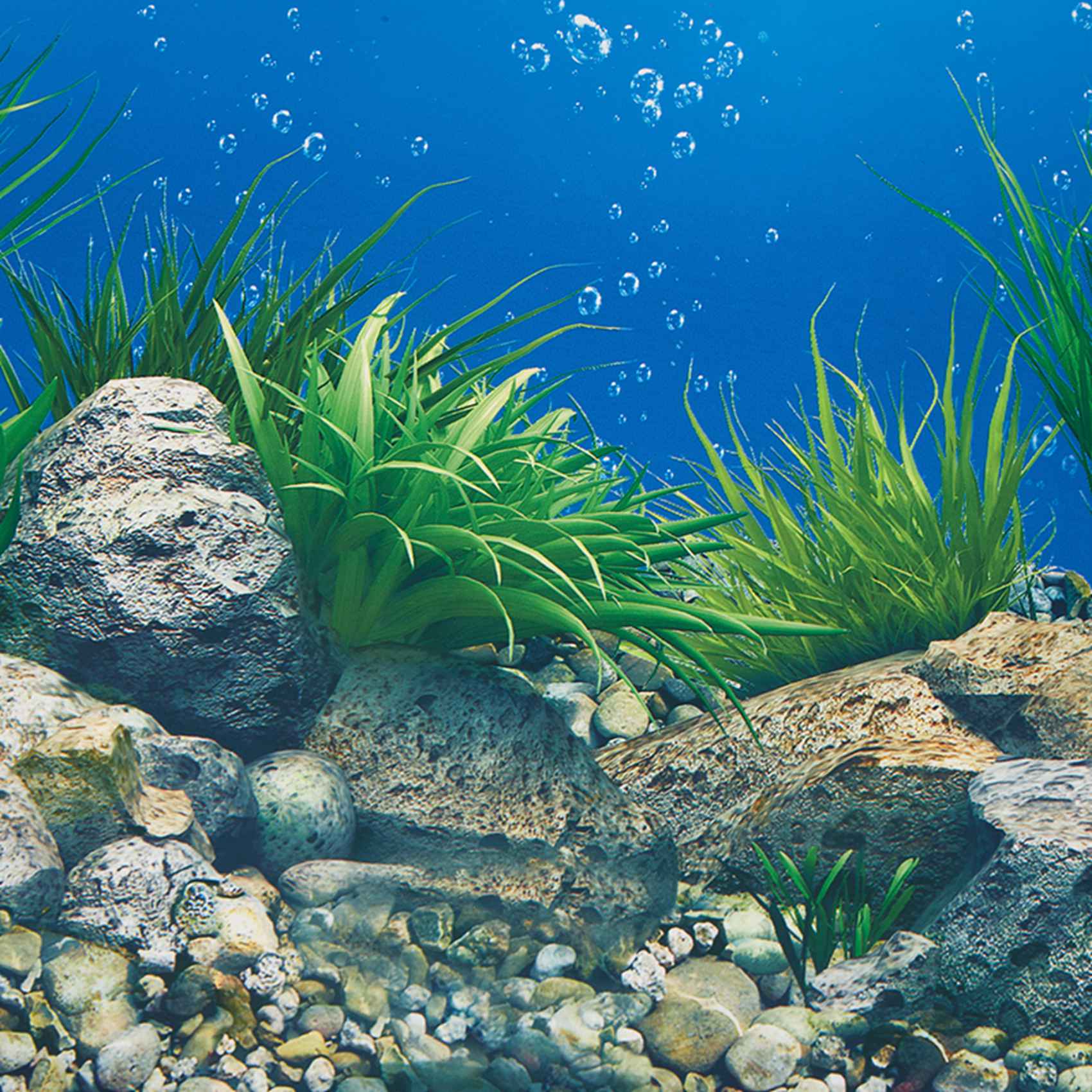 A77I Aquarium fond papier HD i - Fish In Aquarium Picture avis et prix
