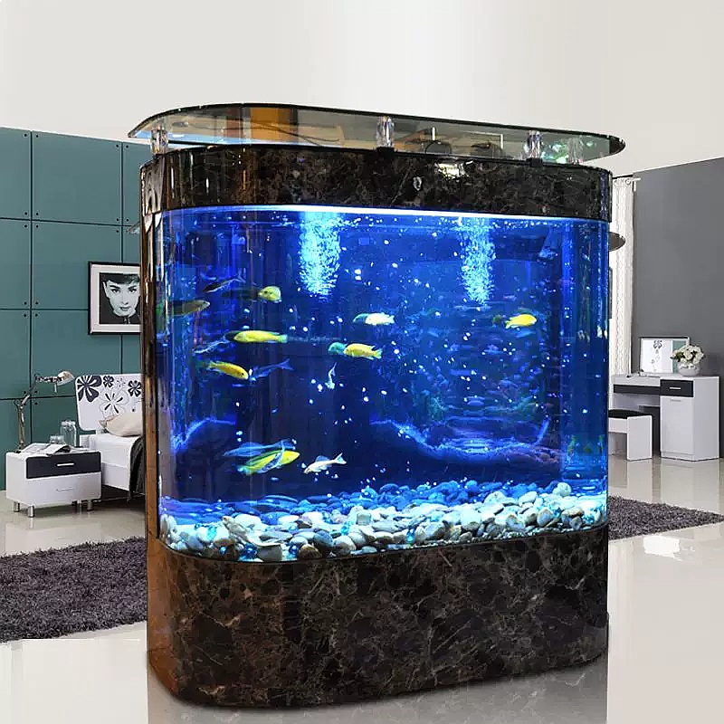 Grand aquarium incurvé sur pie - Aquarium Fish Low Maintenance avis et prix