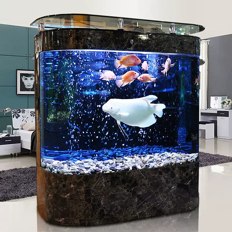 Grand aquarium incurvé sur pie - Aquarium Fish Low Maintenance avis et prix