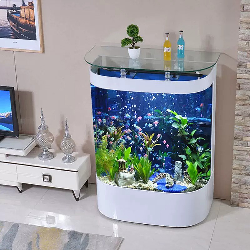 Grand aquarium incurvé sur pie - Aquarium Fish Low Maintenance avis et prix