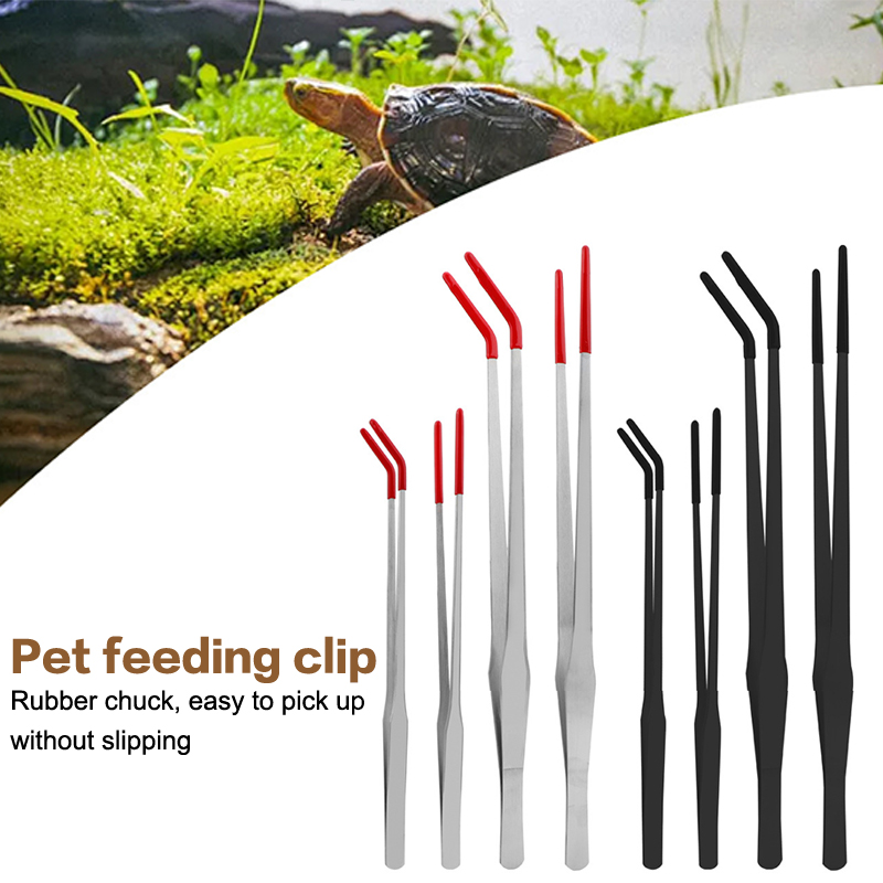 Outils d'entretien pour aquari - Aquarium Fish Quarantine avis et prix