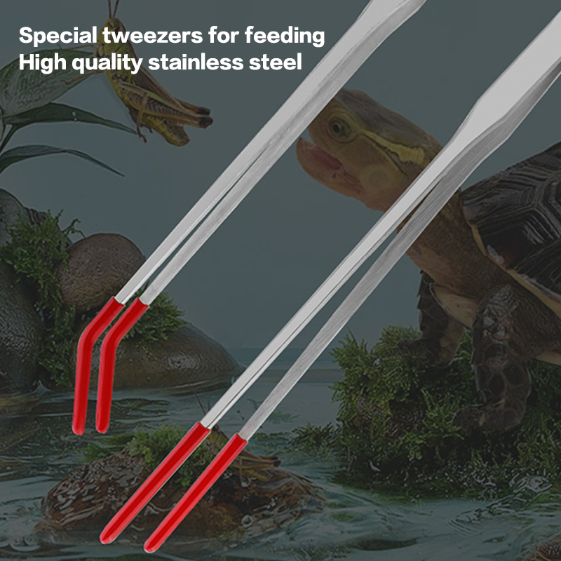 Outils d'entretien pour aquari - Aquarium Fish Quarantine avis et prix