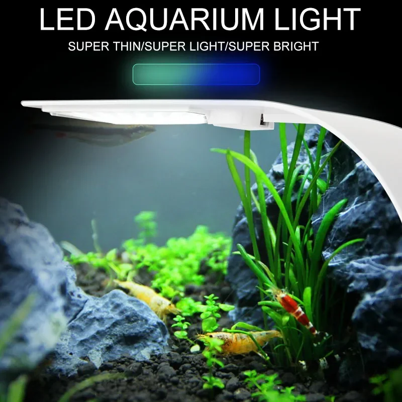 Très Mince Led Aquarium Lampe  - Fish In Aquarium Picture avis et prix