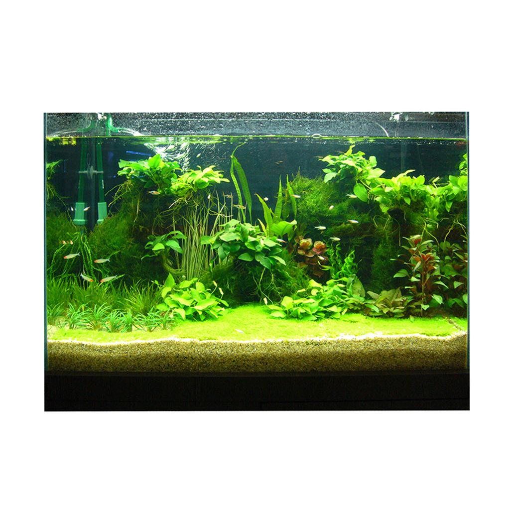 Autocollant de fond 3D pour aq - Fish In Aquarium Picture avis et prix