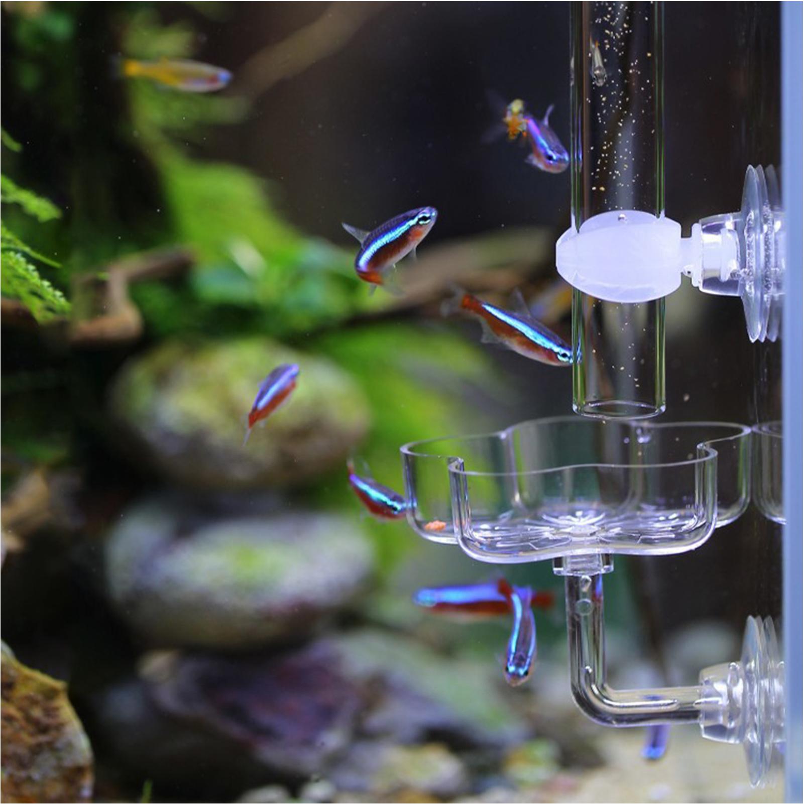 Distributeur de nourriture pou - Tetra Fish In Aquarium avis et prix