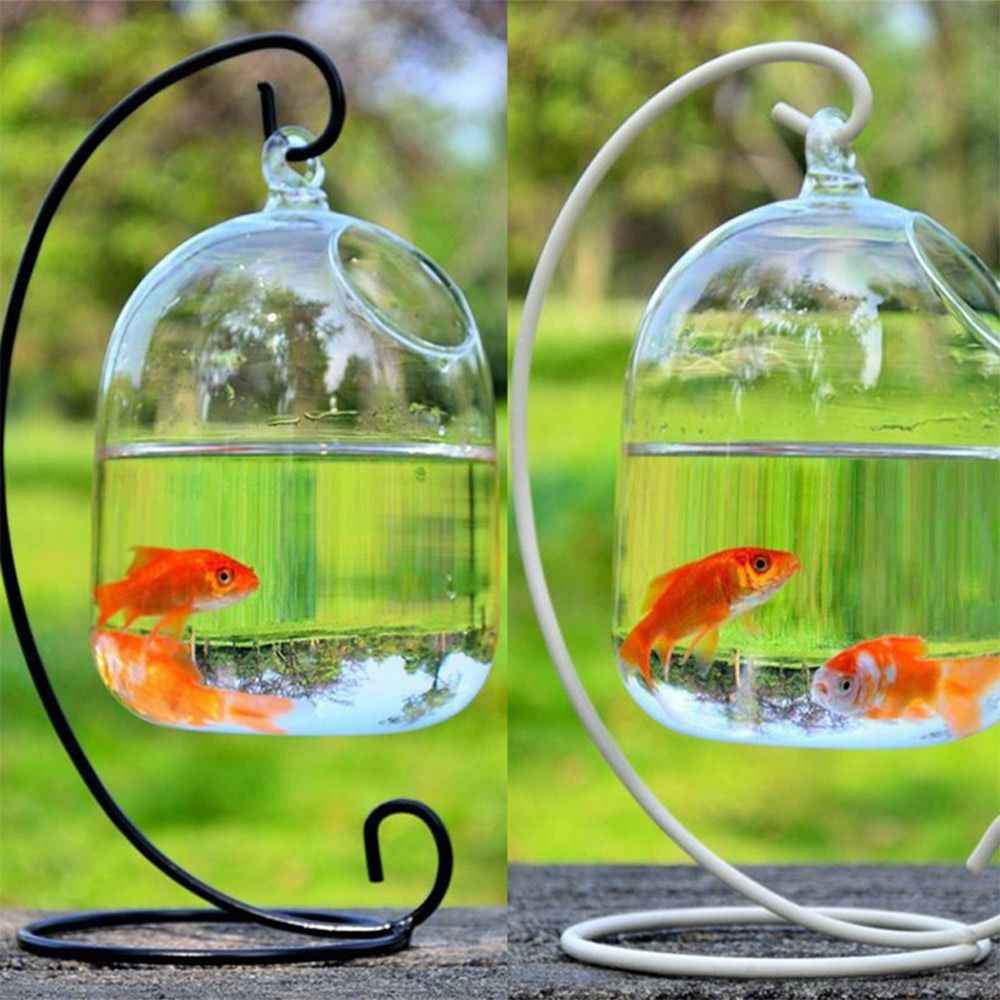 Décoration murale pour aquariu - Aquarium Fish Names avis et prix
