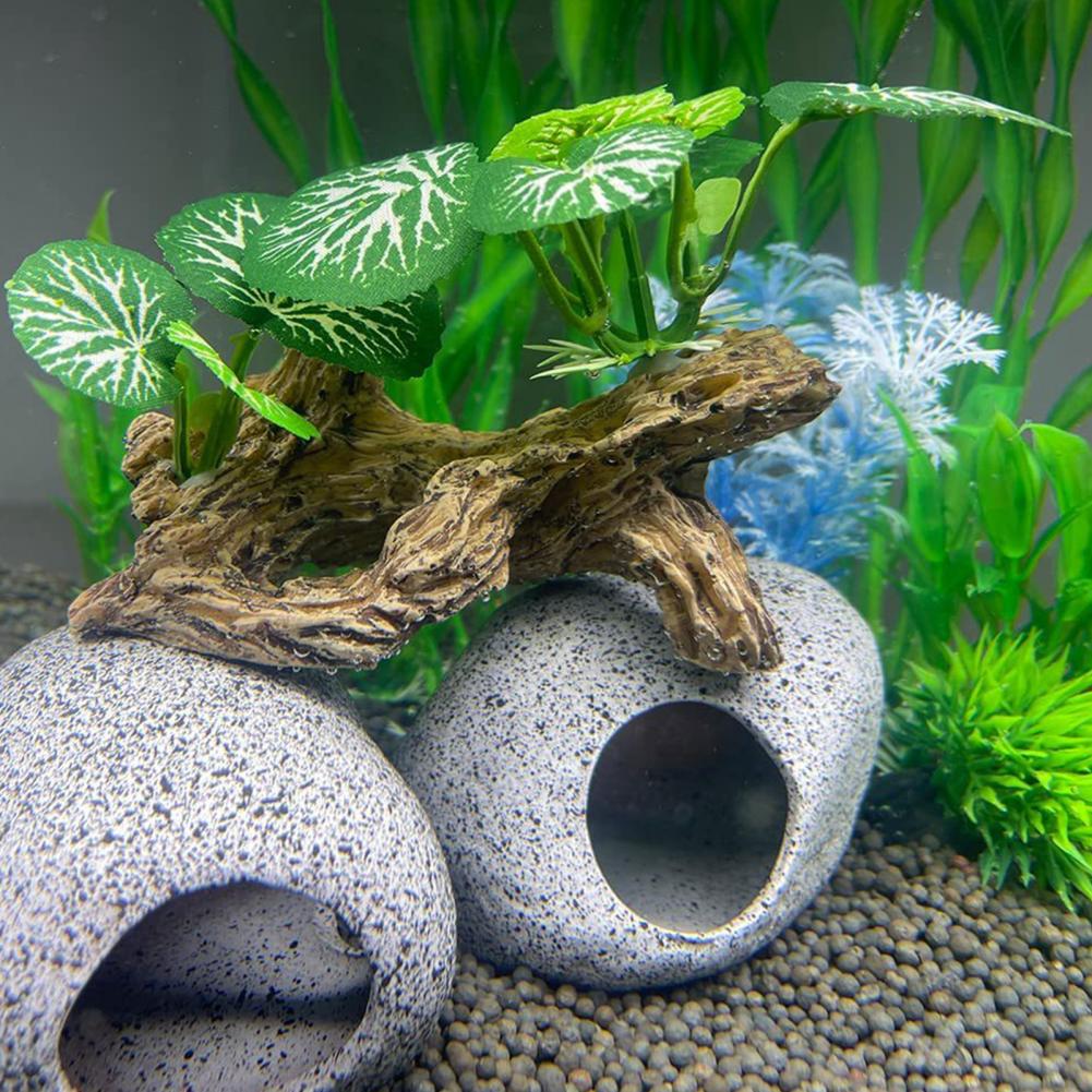 Ornement d'aquarium à faible e - Aquarium Fish Low Maintenance avis et prix