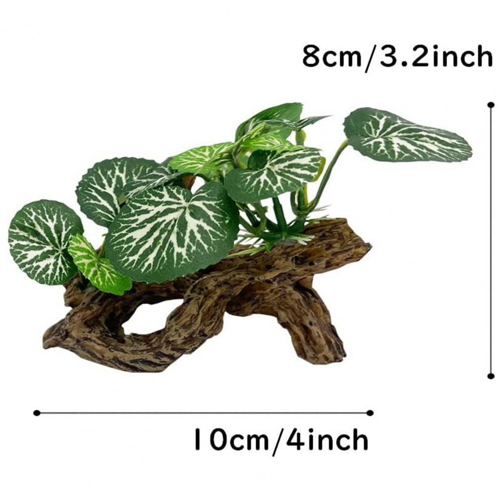 Ornement d'aquarium à faible e - Aquarium Fish Low Maintenance avis et prix