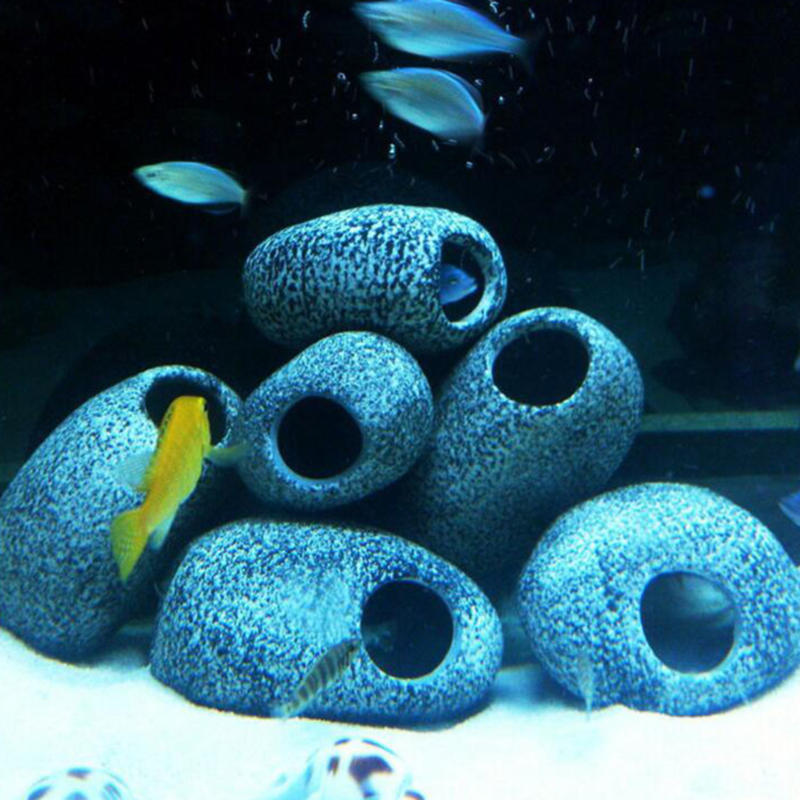 Petit Aquarium roche séquence  - Aquarium Fish Names avis et prix