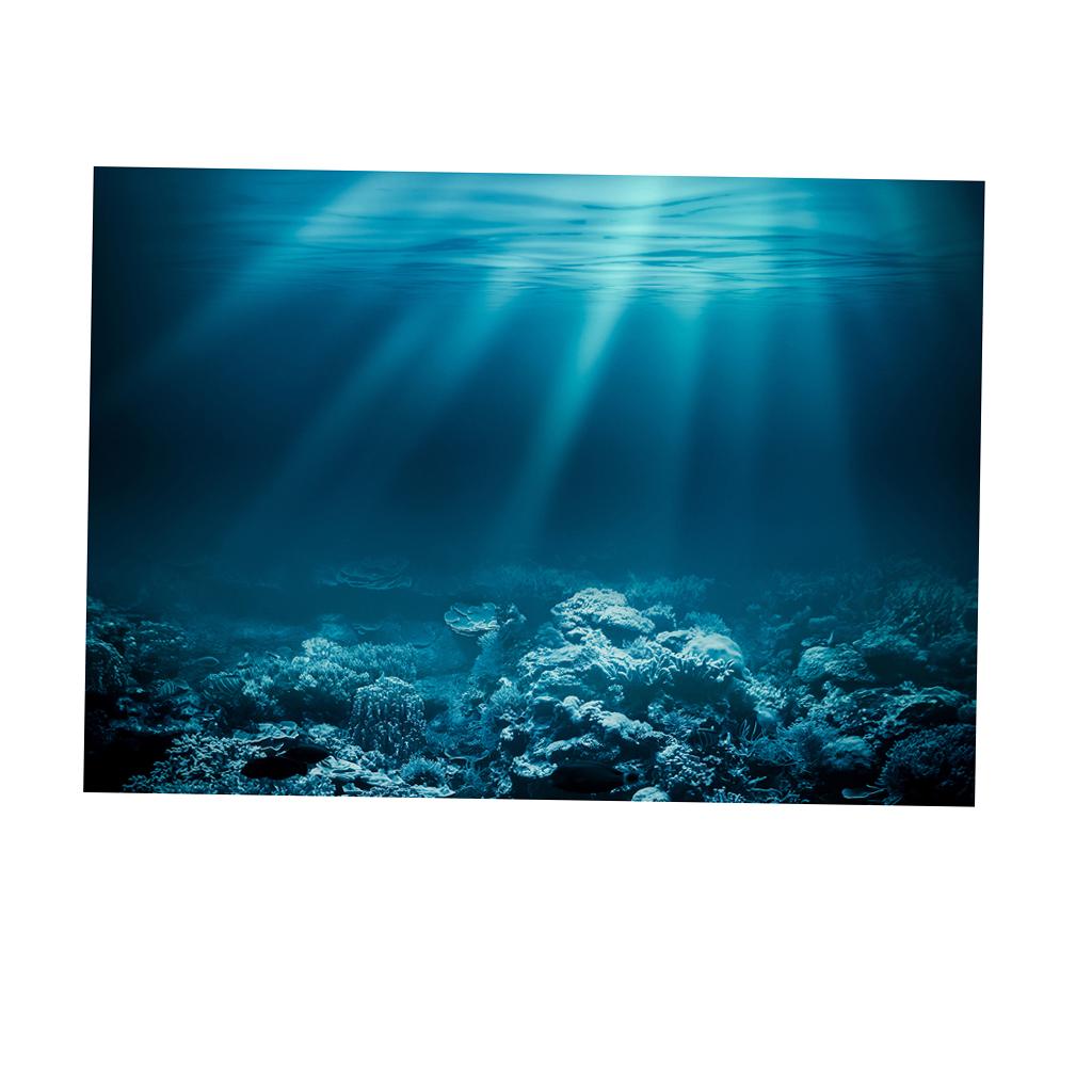 Autocollant adhésif pour aquar - Fish In Aquarium Picture avis et prix