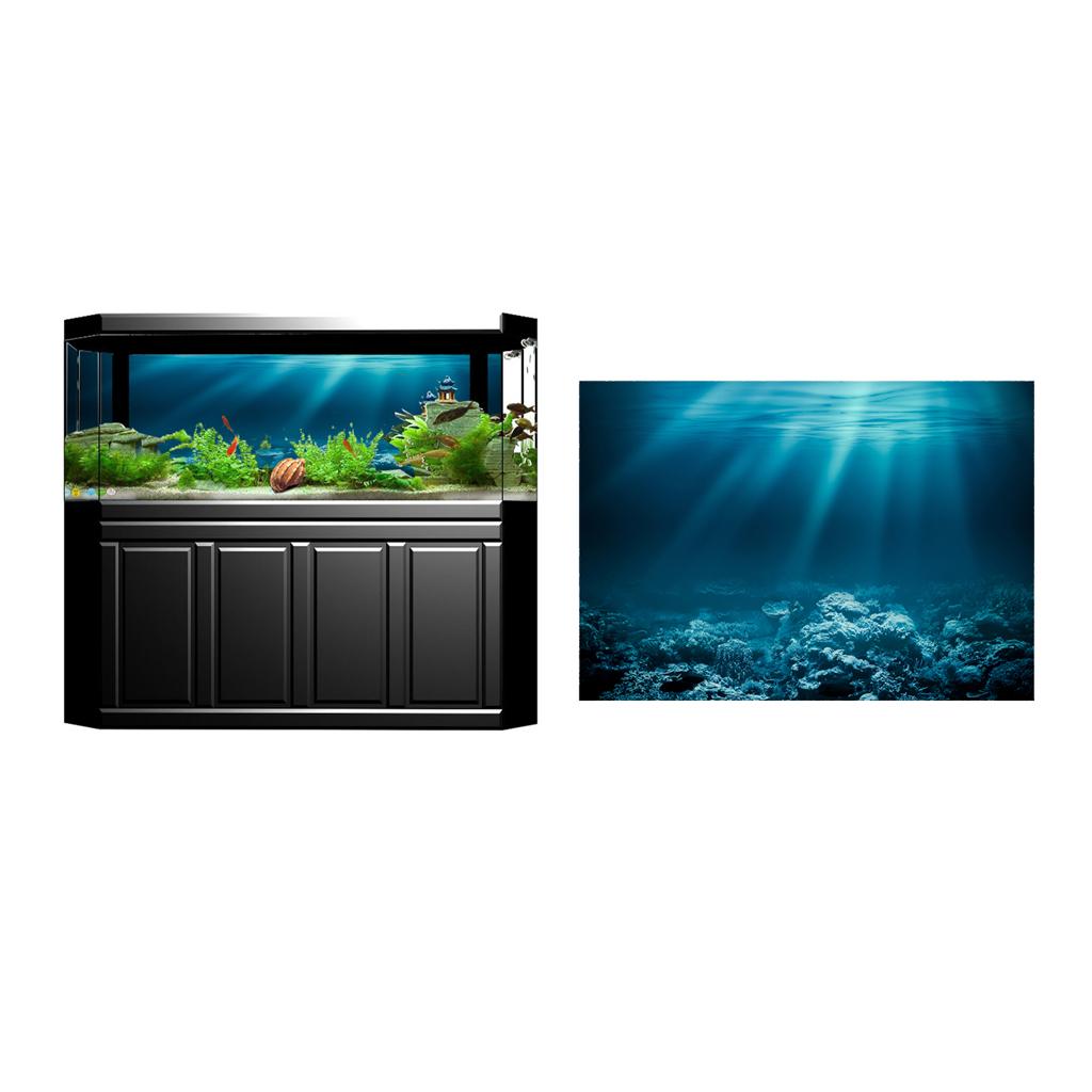 Autocollant adhésif pour aquar - Fish In Aquarium Picture avis et prix