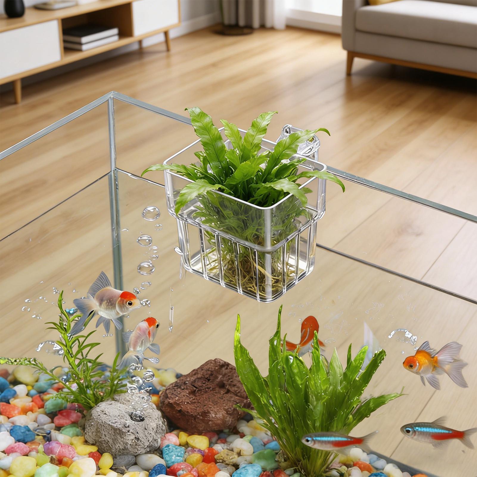 Pot de culture suspendu transp - Aquarium Fish Names avis et prix