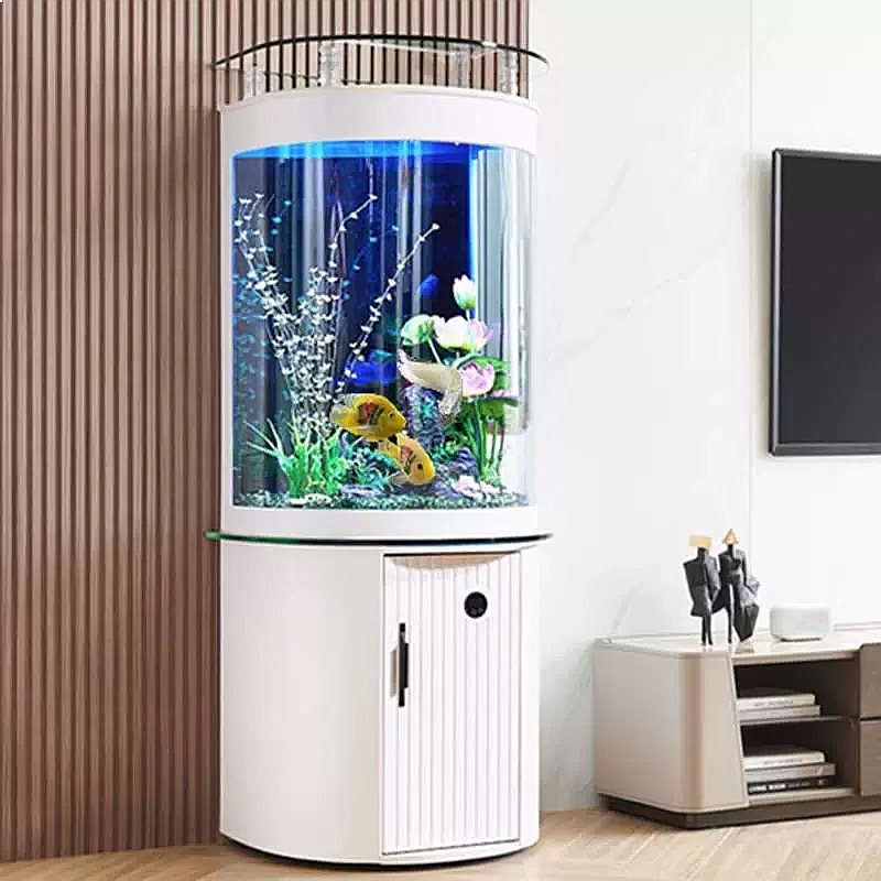 Aquarium de bureau semi-circul - Aquarium Fish Low Maintenance avis et prix