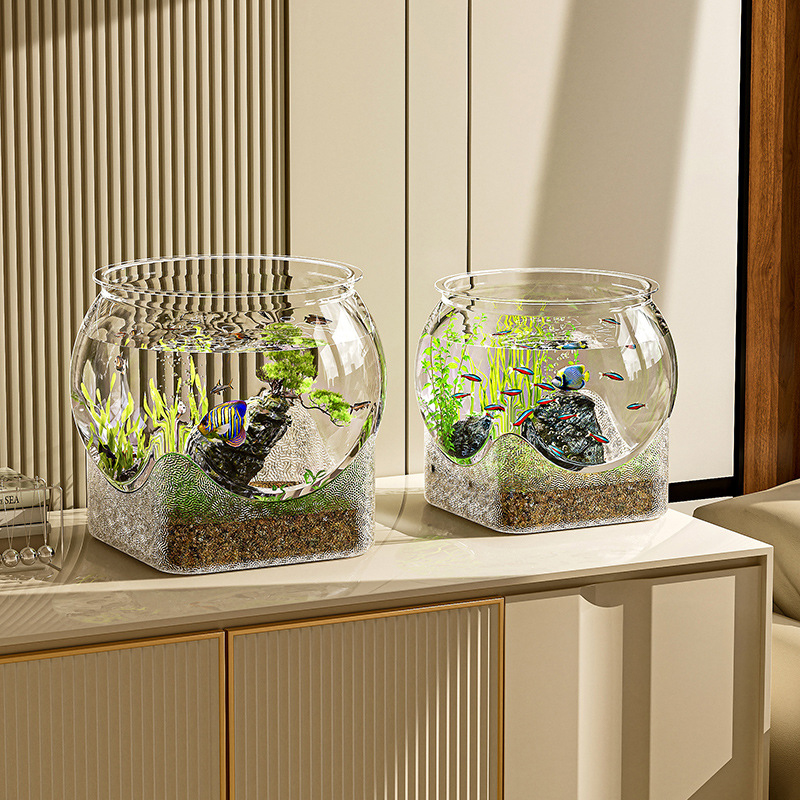 Aquarium Transparent rond Orne - Aquarium Fish Names avis et prix