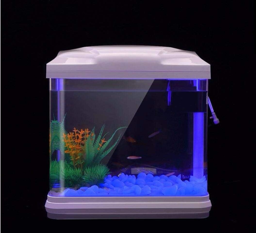 Roches d'aquarium scintillante - Aquarium Fish Quarantine avis et prix