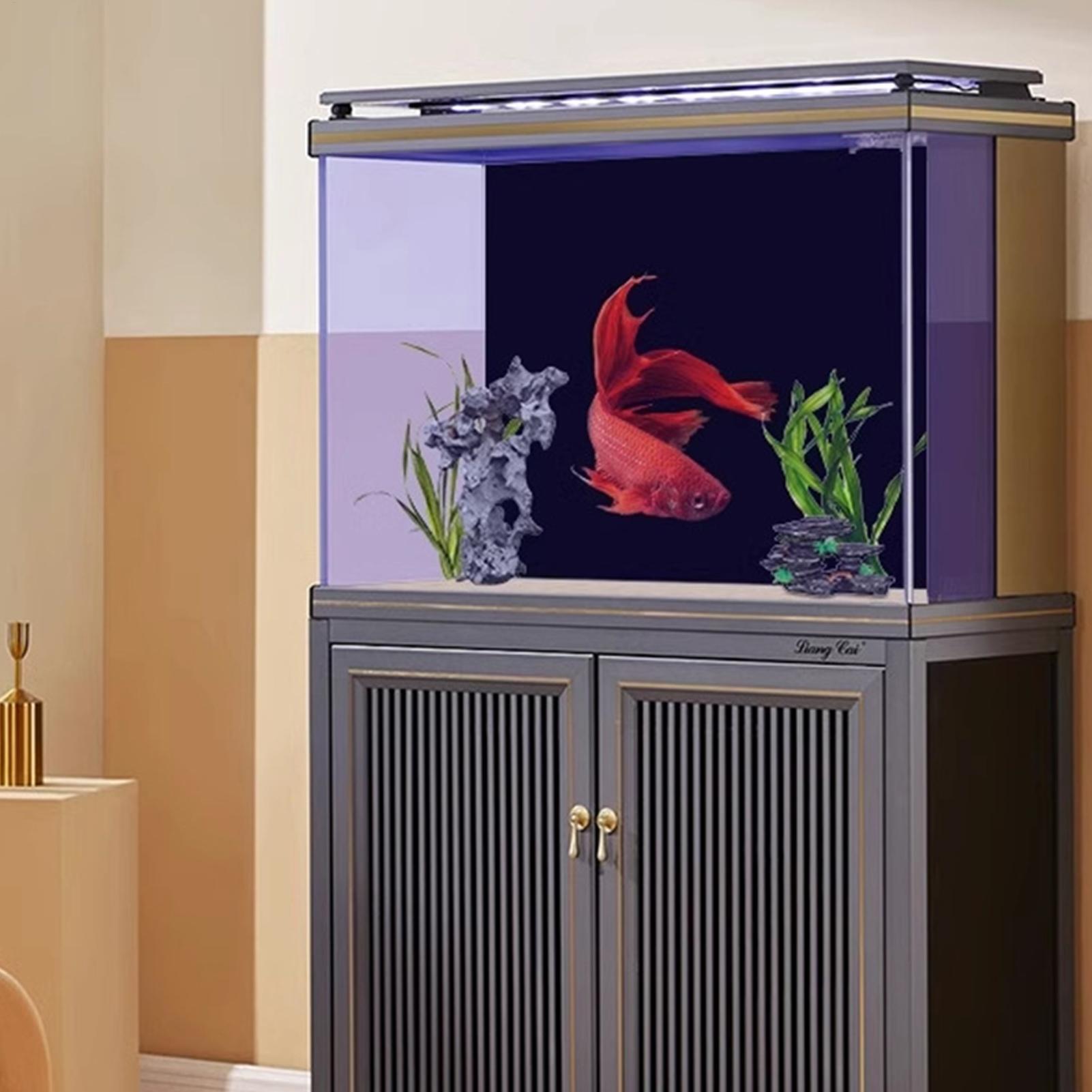 Fond d'écran noir pour aquariu - Fish In Aquarium Picture avis et prix