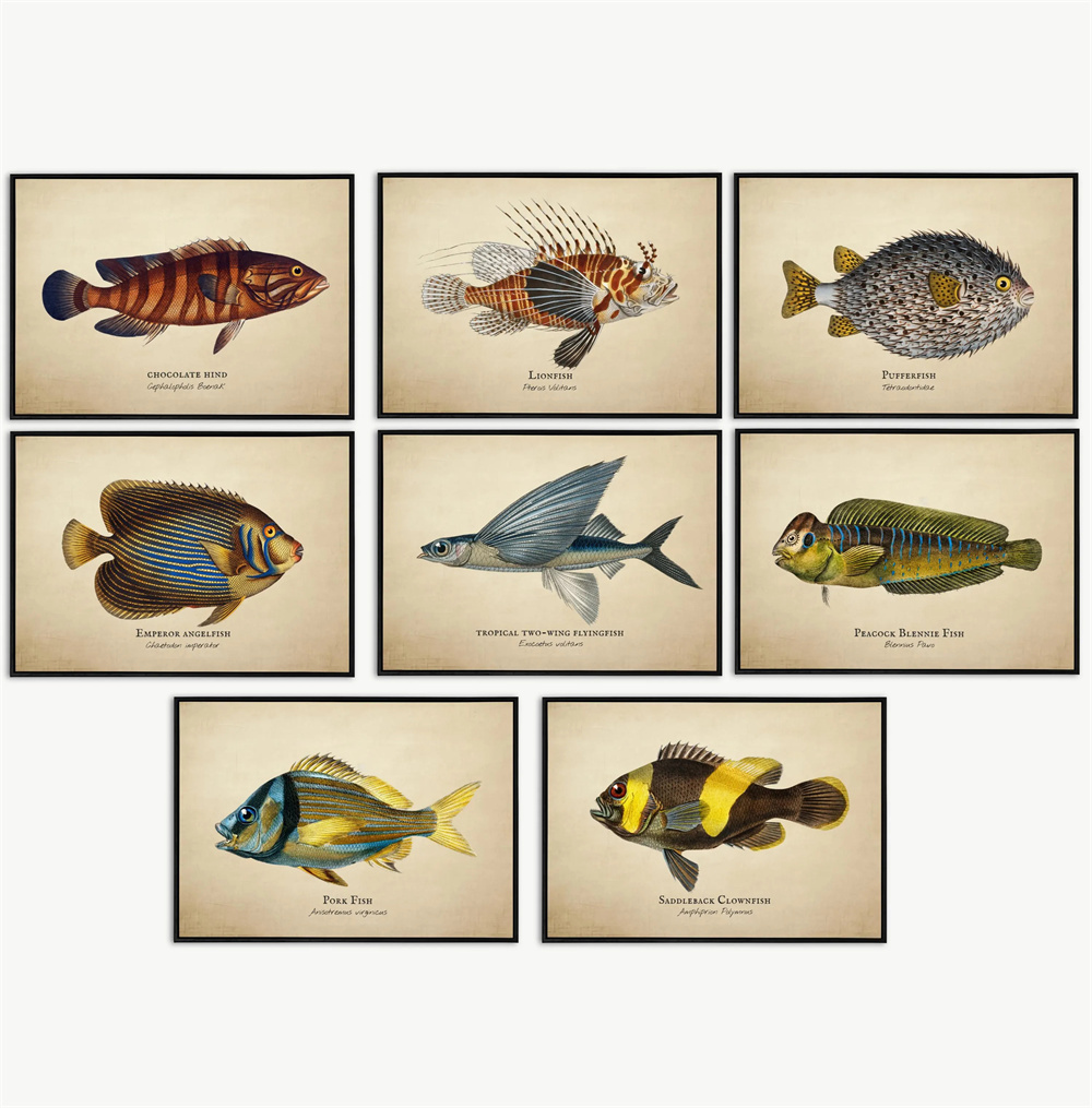 Images Vintage poissons tropic - Fish In Aquarium Picture avis et prix