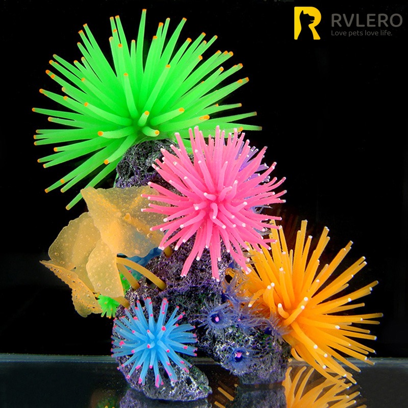 Ornements de simulation Shoous - Aquarium Fish Names avis et prix