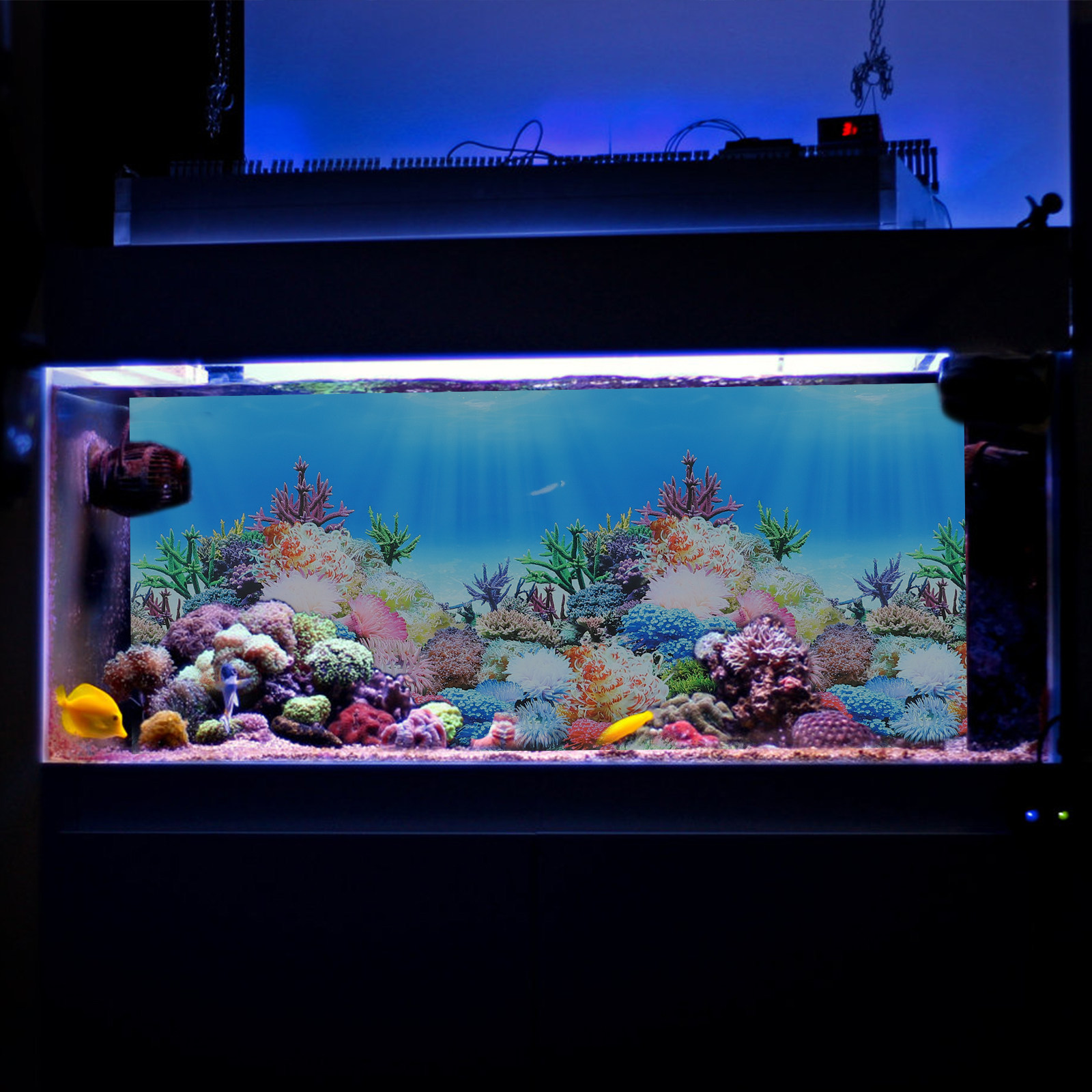 Papier décoratif pour aquarium - Fish In Aquarium Picture avis et prix