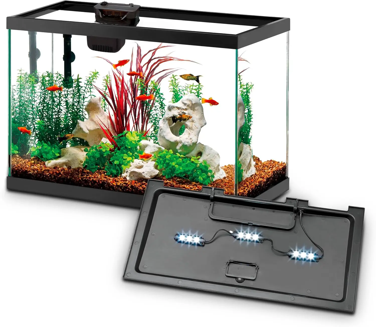 Kit de démarrage pour aquarium - Tetra Fish In Aquarium avis et prix