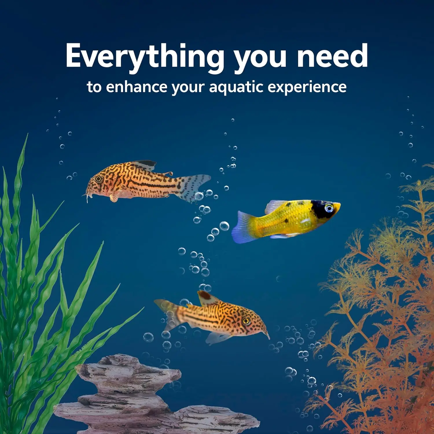 Kit de démarrage pour aquarium - Tetra Fish In Aquarium avis et prix