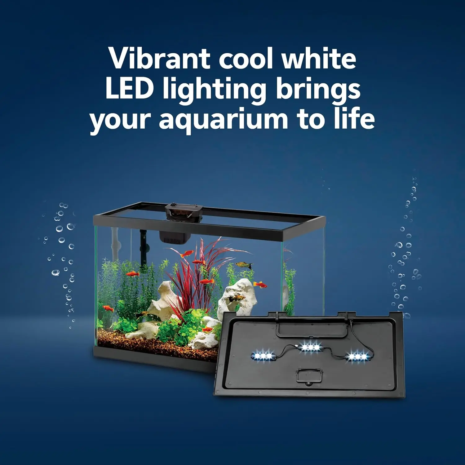 Kit de démarrage pour aquarium - Tetra Fish In Aquarium avis et prix