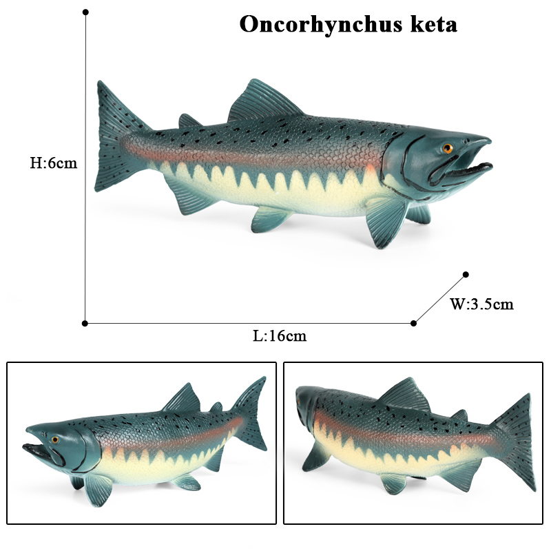Oenux – Figurines d'action en  - Fish In Aquarium Picture avis et prix