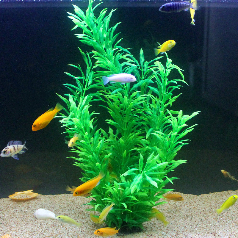 Plantes artificielles pour aqu - Aquarium Fish Quarantine avis et prix