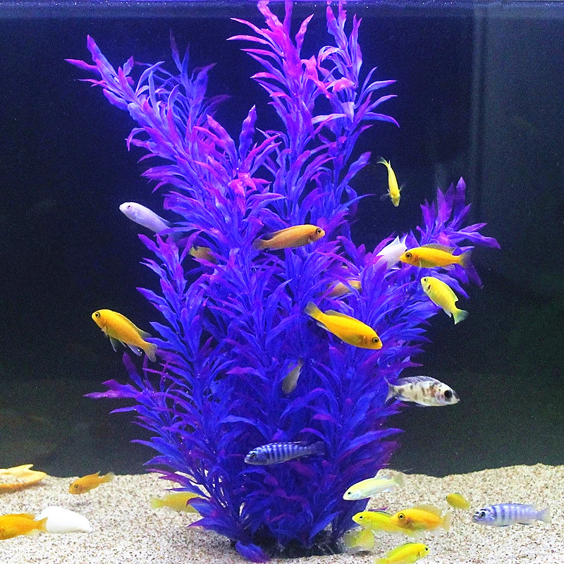 Plantes artificielles pour aqu - Aquarium Fish Quarantine avis et prix