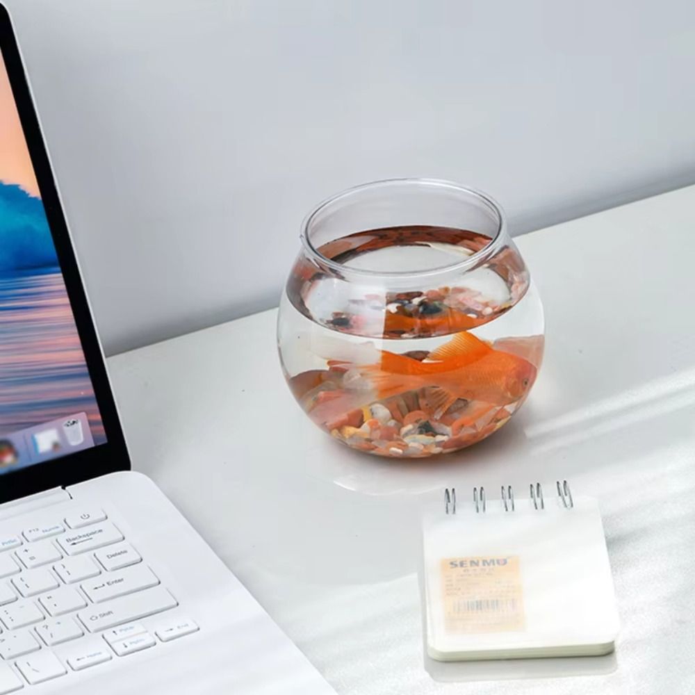 Nouveau Aquarium Transparent r - Aquarium Fish Names avis et prix