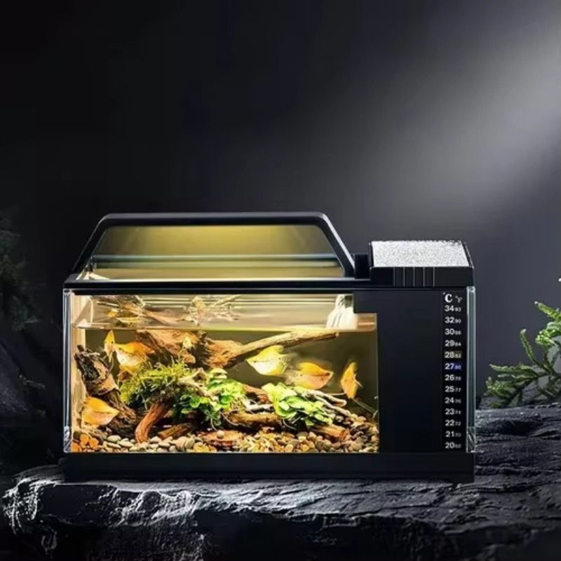 Aquarium de style sud-américai - Aquarium Fish Low Maintenance avis et prix