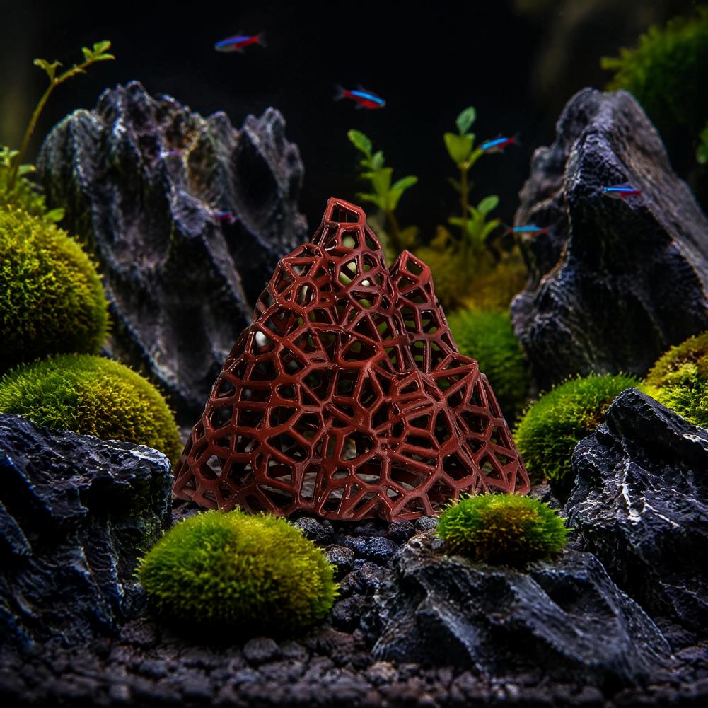 Décoration aquatique pour aqua - Fish In Aquarium Picture avis et prix