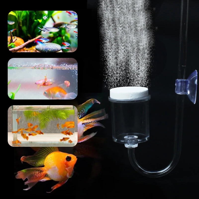 Diffuseur de CO2 pour aquarium - Aquarium Fish Quarantine avis et prix