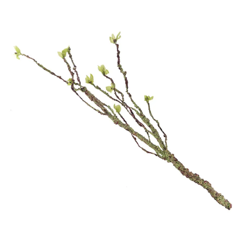 Vignes décor Branches d'escala - Aquarium Fish Quarantine avis et prix
