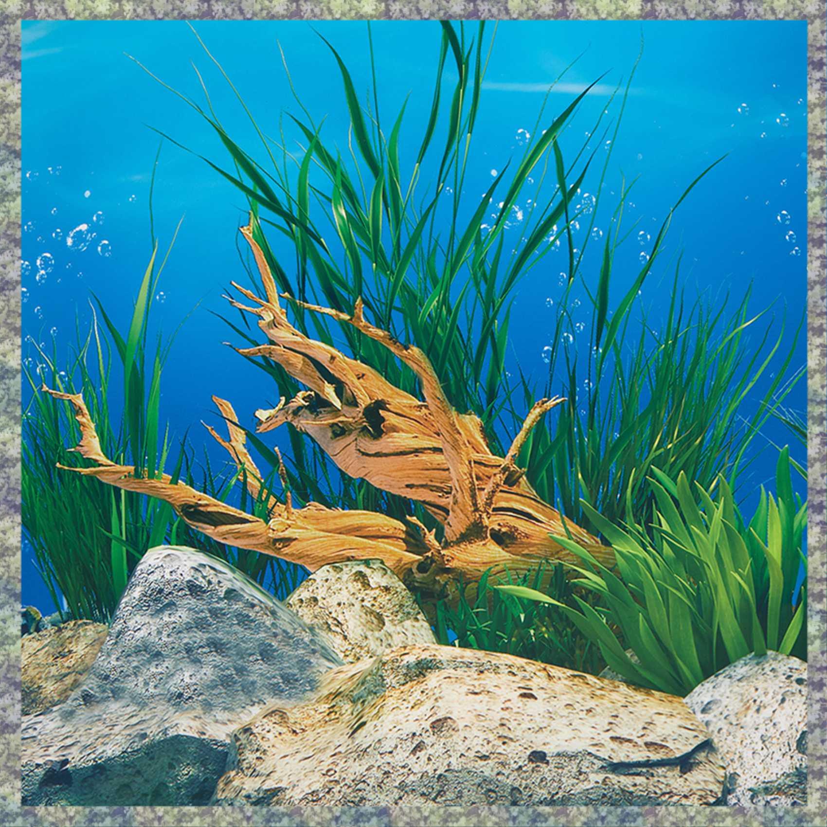 WON Aquarium fond papier HD im - Fish In Aquarium Picture avis et prix